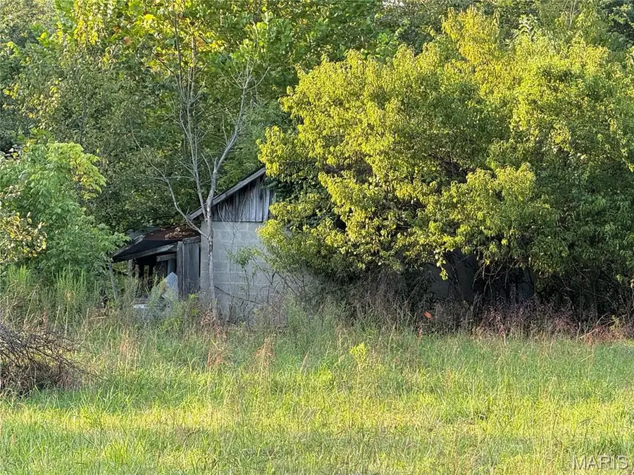 475 County Road 157, Des Arc, MO 63636 - #2