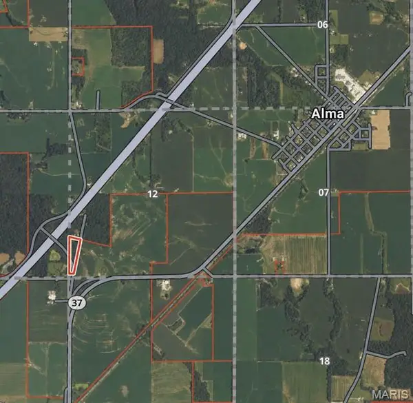 0 Martin Road, Alma, IL 62807