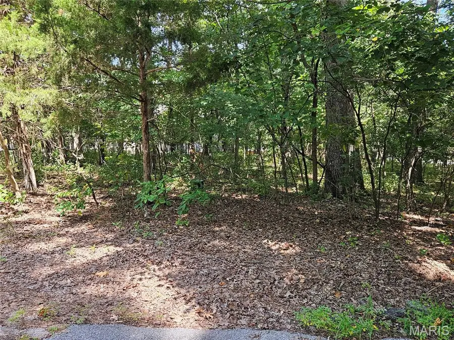 TBD Azelia Lane, Hillsboro, MO 63050 - #2