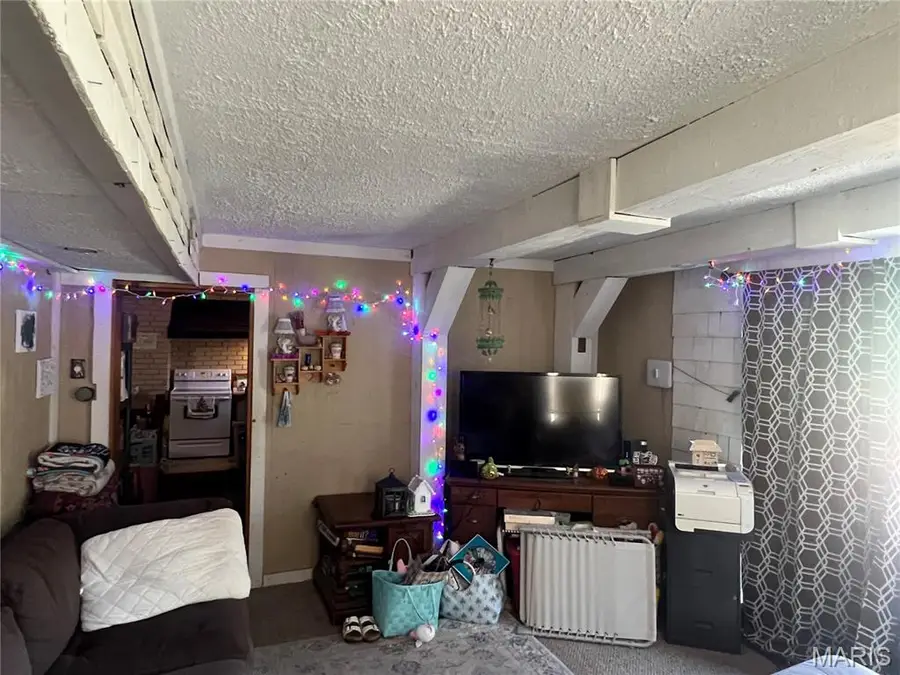414 E Wilson Avenue, Gillespie, IL 62033 - #2
