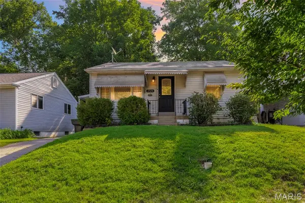2520 Tamm Avenue, St Louis, MO 63139