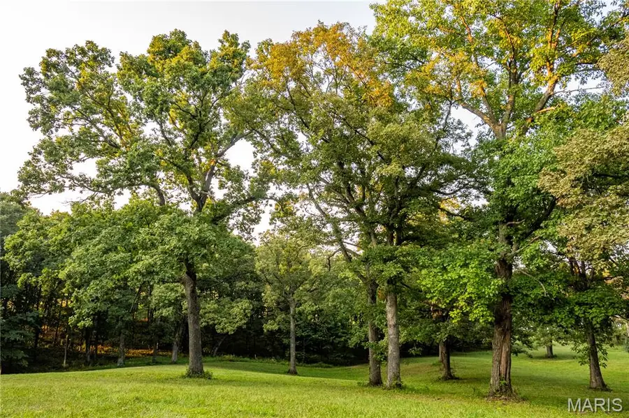 0 Highway D - Tract 6 (23.6+/- Acres), Eolia, MO 63344 - #3