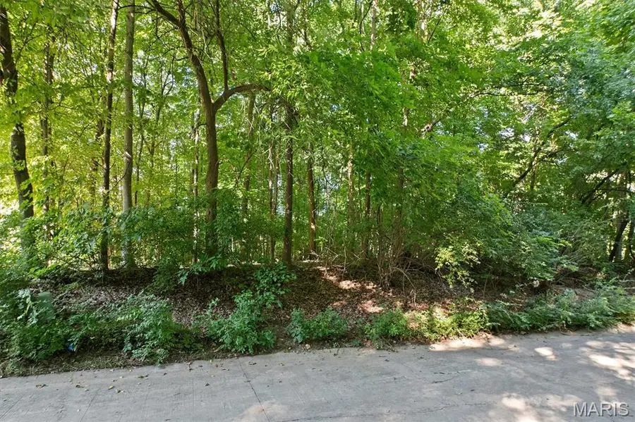 1013 Berry Lane, Edwardsville, IL 62025 - #3