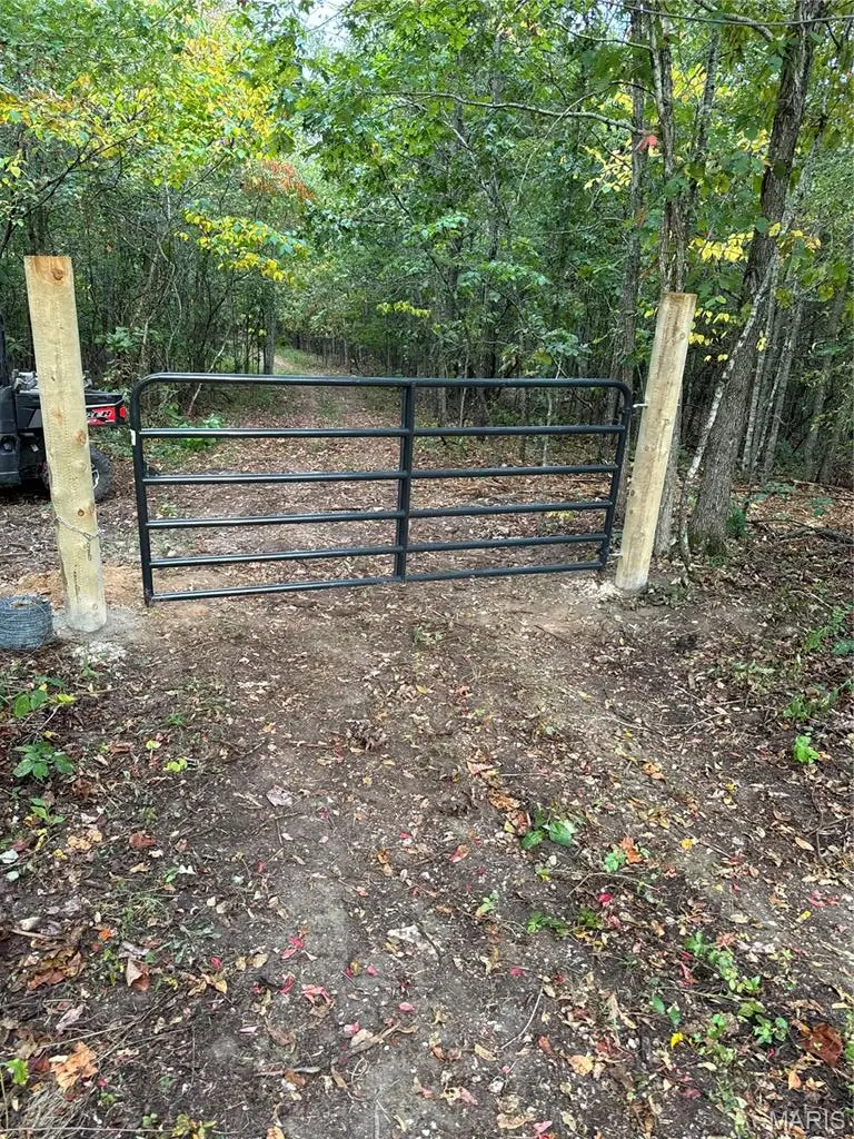 County Road 304, Marquand, MO 63655 - #3