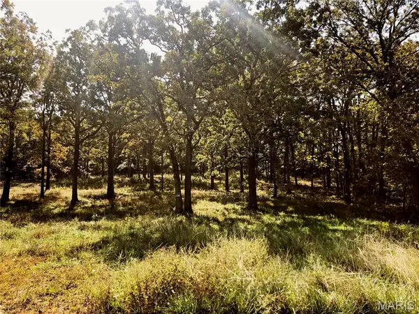 10240 County Road 3060, Rolla, MO 65401