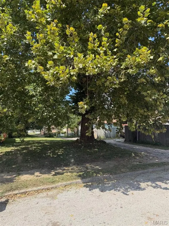 1527 Tamm Avenue, Saint Louis, MO 63139 - #2