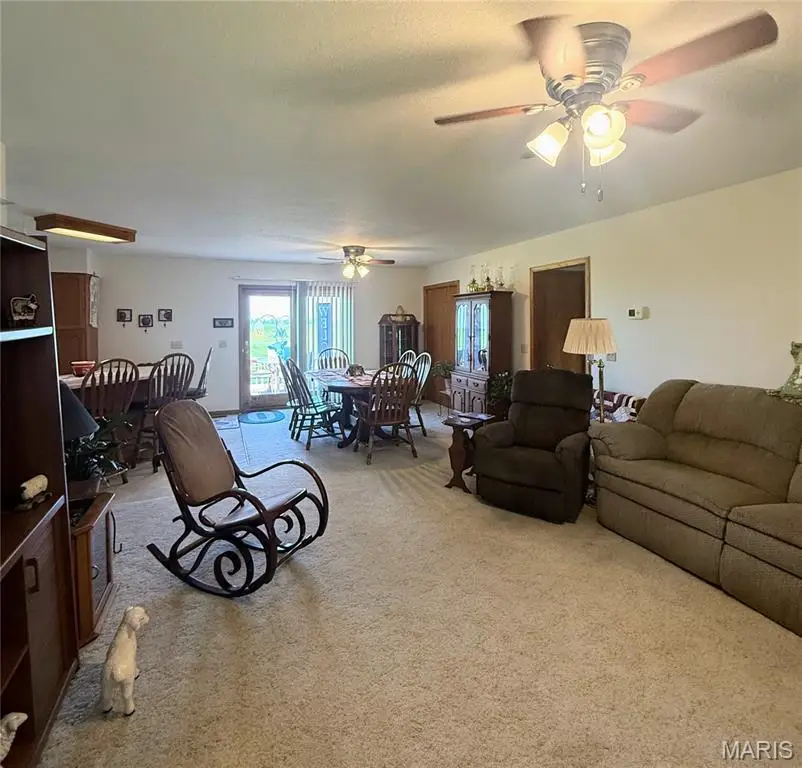19182 Missouri Drive, Glenwood, MO 63541 - #3