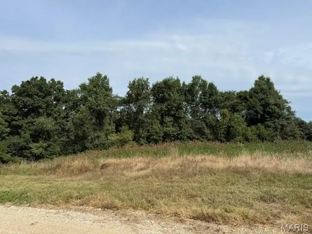 80 A Shelby 142, Bethel, MO 63434 - #2
