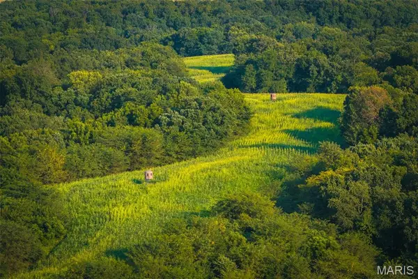 TBD Road 750, Pleasant Hill, IL 62366