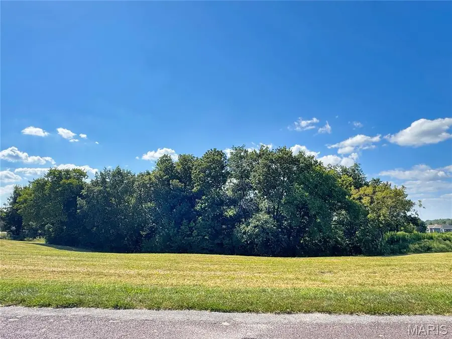 Lot 1 Austin Drive, Washington, MO 63090 - #2