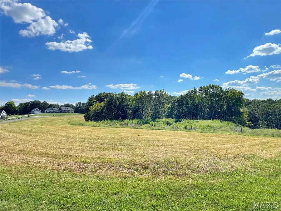 Lot 1 Austin Drive, Washington, MO 63090 - #3
