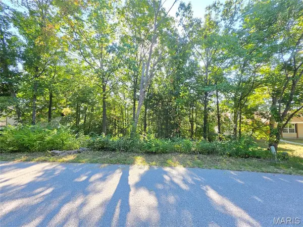 9744 Lee Drive, Hillsboro, MO 63050