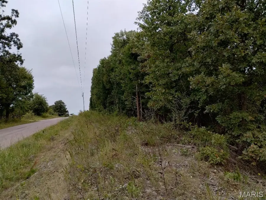 11050 County Road 2220, Rolla, MO 65401 - #3
