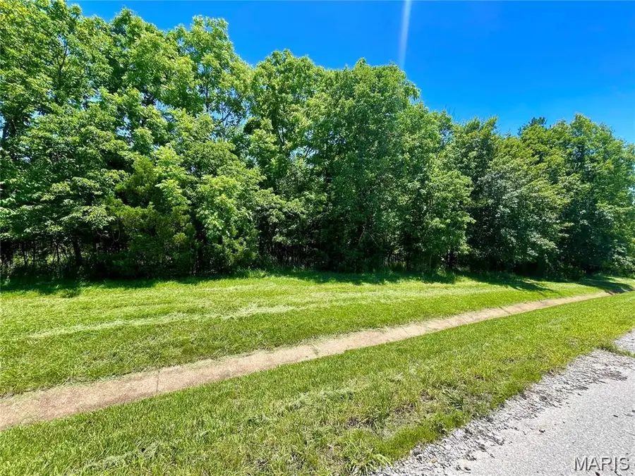 2558 Frederitzi Lane, Arnold, MO 63010 - #3