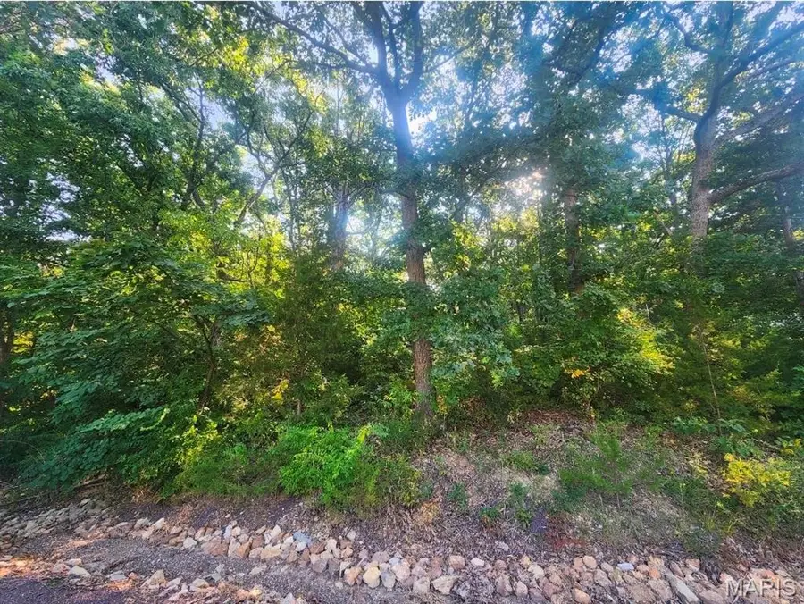 lot 29 Lakeshore Drive, Owensville, MO 65066 - #2