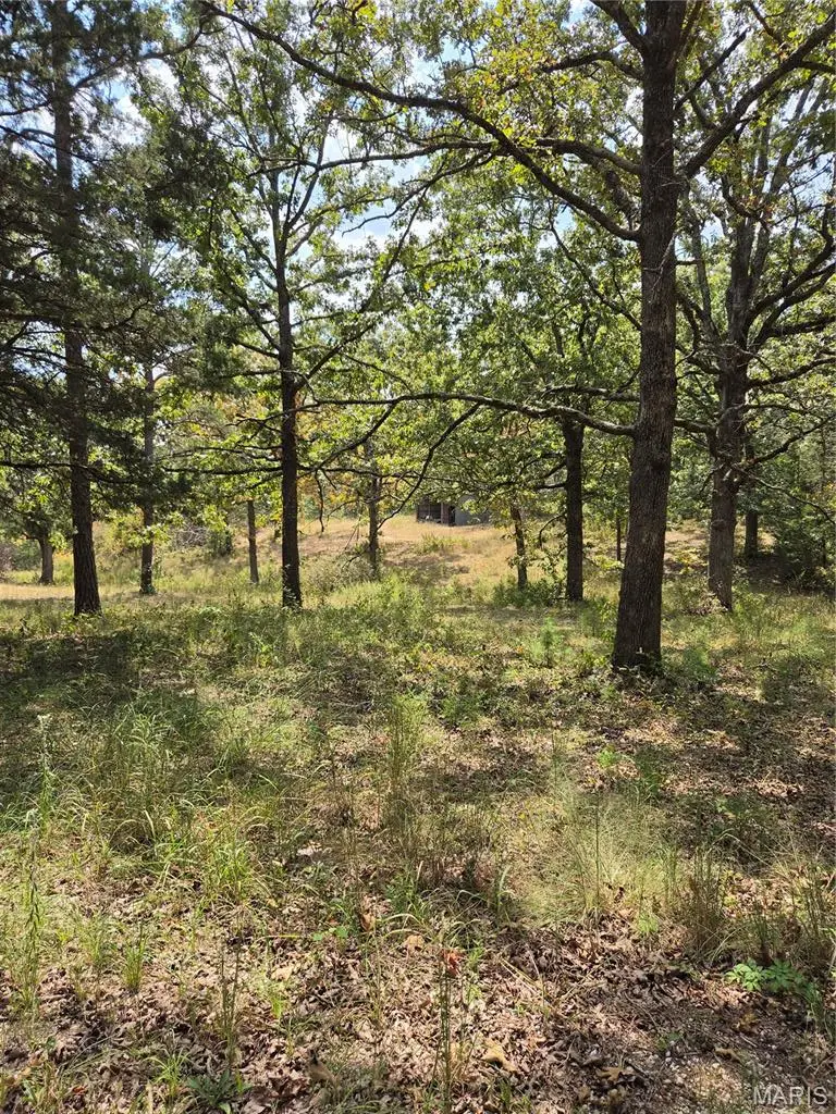 17740 County Road 7460, Liberty, MO 65550 - #2