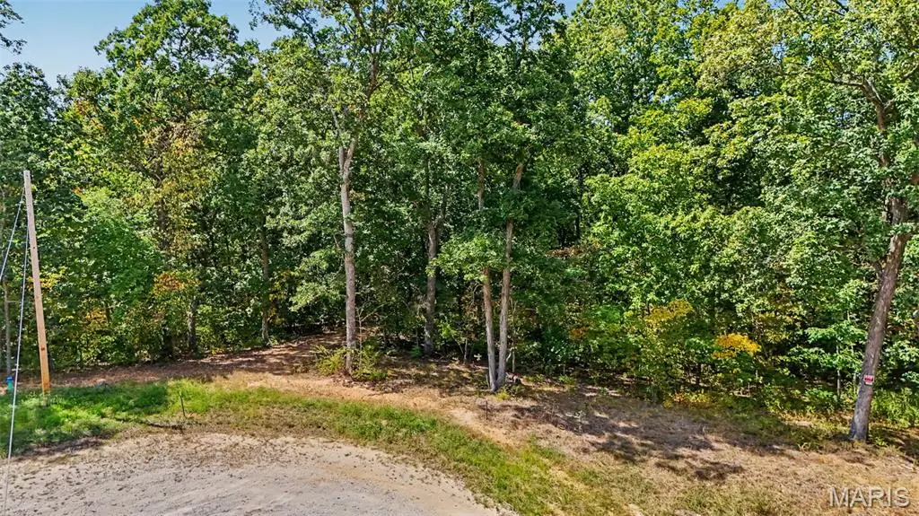23 Turning Leaf Lane, Foley, MO 63347 - #1