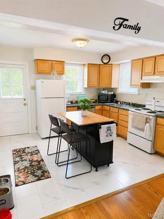 227 W Loretta Avenue, Saint Louis, MO 63125 - #2
