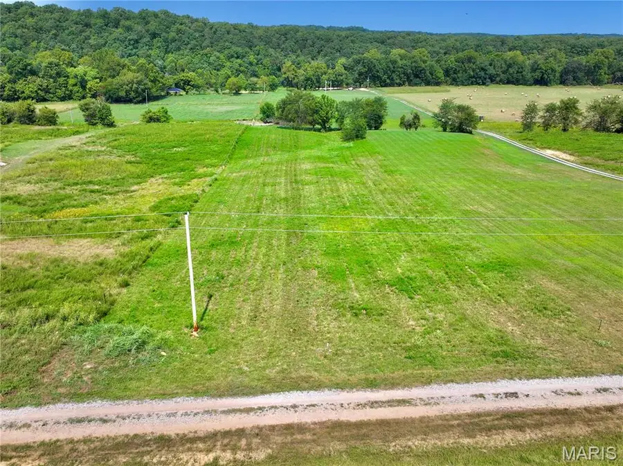 TBD Inkberry Lane, Miller, MO 65536 - #3