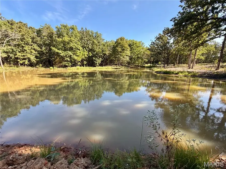 Lot 11 County Road 4180, Salem, MO 65560 - #2