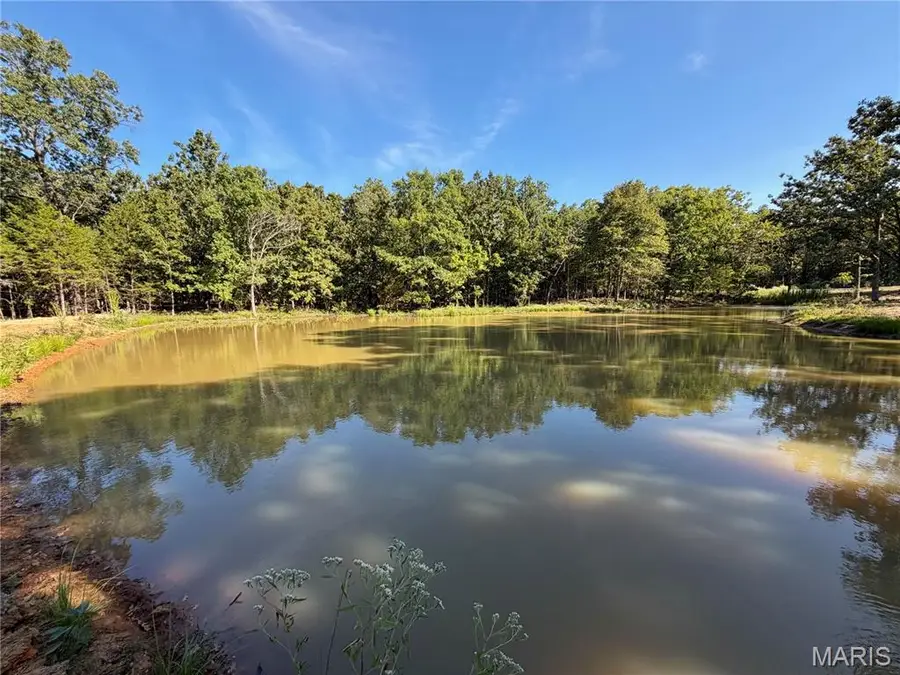 Lot 11 County Road 4180, Salem, MO 65560 - #3