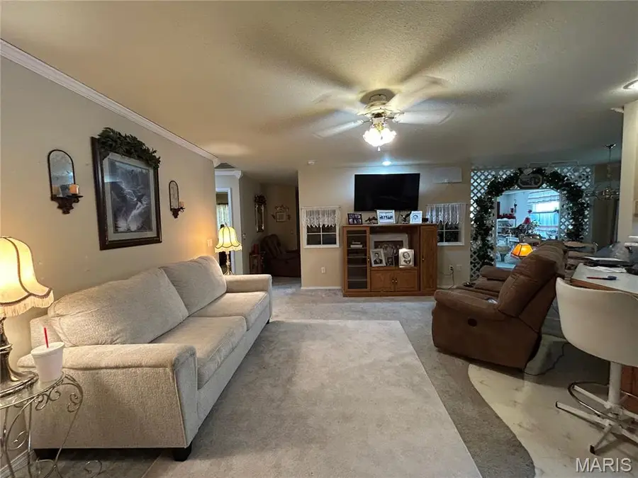 411 Dacus Drive, Sikeston, MO 63801 - #2