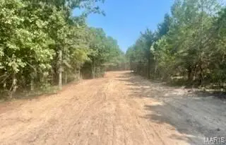 Tract 1 & 2 West Highway 32, Licking, MO 65542