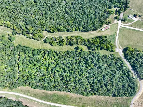 1921 Tanglefoot Farms Road, Festus, MO 63028