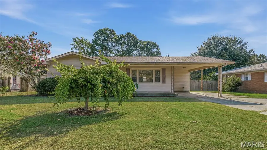 1112 David Drive, Kennett, MO 63857 - #2