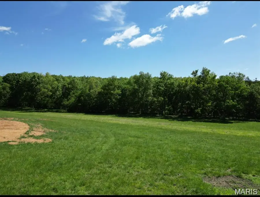 9207 Old Jackson Road, Fredericktown, MO 63645 - #3