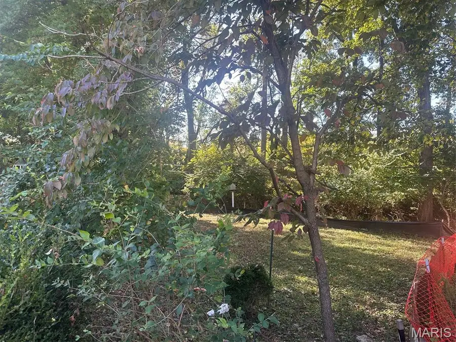 51 Waverton Drive, Ladue, MO 63124 - #2
