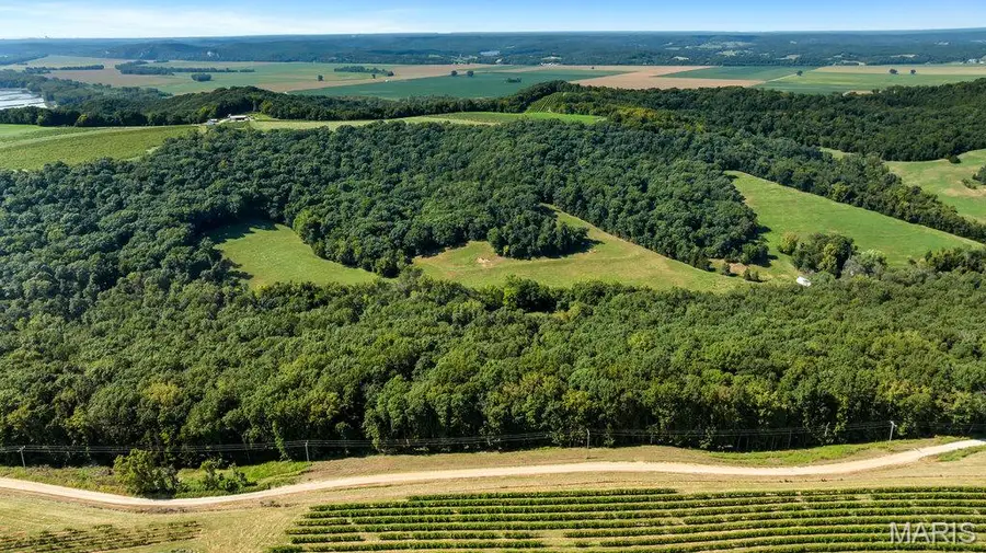 1652 Coles Creek Road, Hermann, MO 65041 - #2
