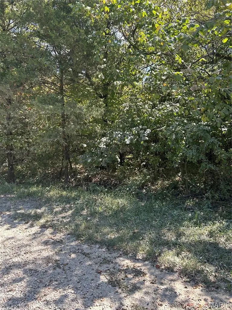 0 Rue Charles, Bonne Terre, MO 63628 - #1