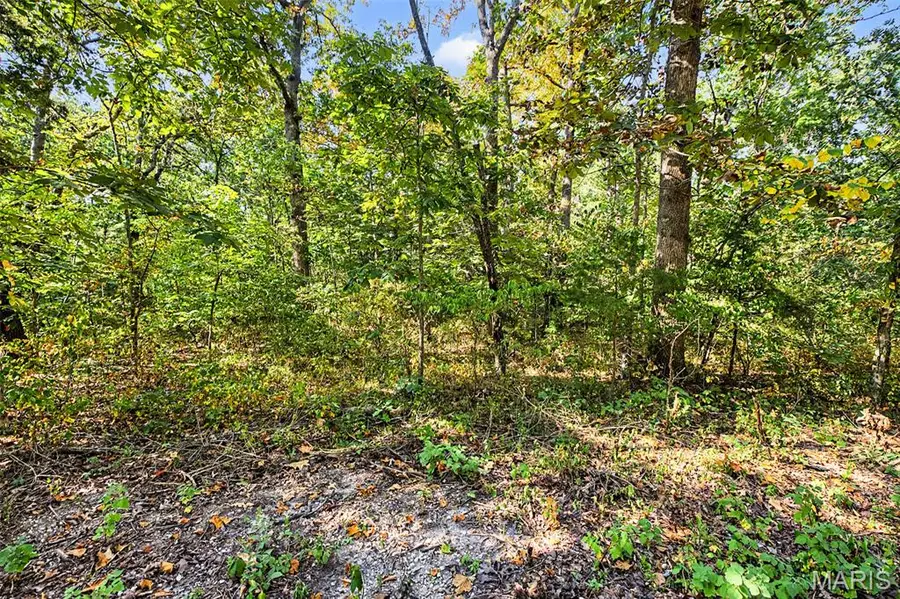 Lot 51 Elm Drive, Dittmer, MO 63023 - #2