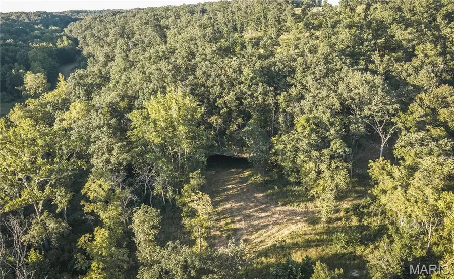 000 Pool Holler Cave Road, Rolla, MO 65401 - #2
