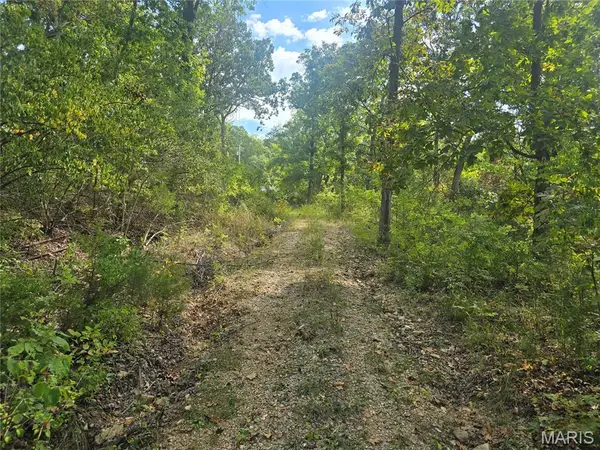 8607 John Mckeever Road, Pacific, MO 63069