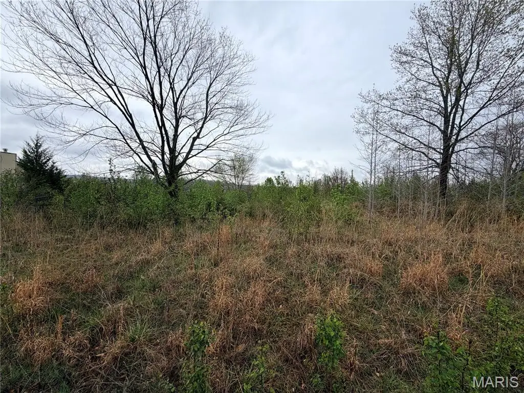 0 Salina Road, Waynesville, MO 65583 - #1