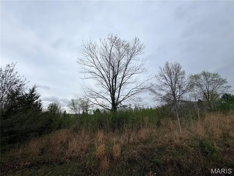 0 Salina Road, Waynesville, MO 65583 - #2