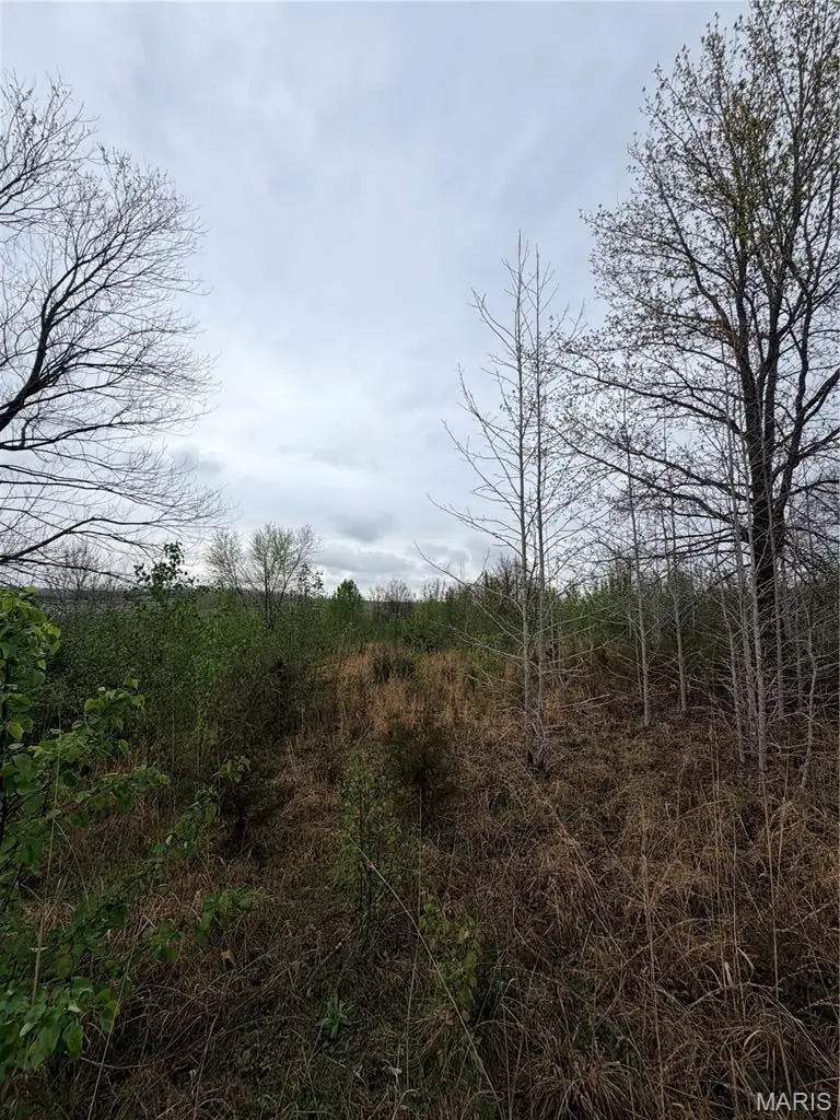 0 Salina Road, Waynesville, MO 65583 - #3