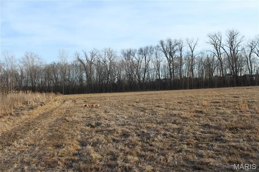 6025 Highway N, Cottleville, MO 63304 - #3