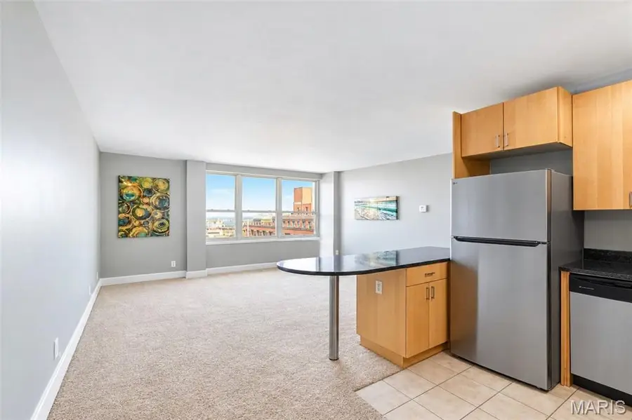 210 N 17th Street #1101, Saint Louis, MO 63103 - #2