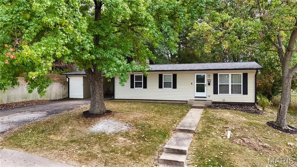 702 Locust Street, Festus, MO 63028 - #1