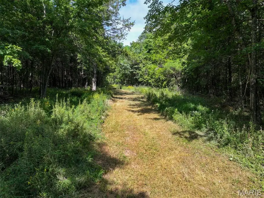 0 Madison 221, Fredericktown, MO 63645 - #3