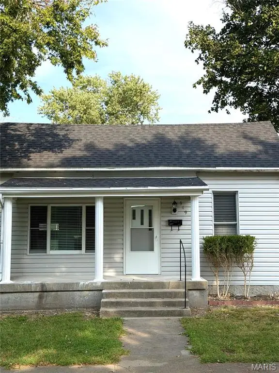 319 S Hamilton Street, Marissa, IL 62257 - #1