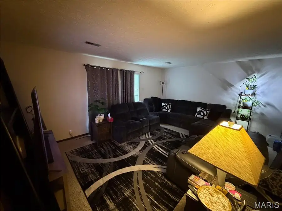 20-22 Carol Drive, Collinsville, IL 62234 - #3