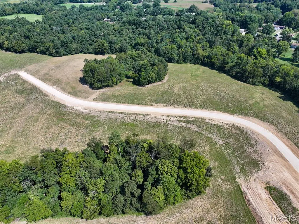 Tract #2 off Ames Way, Jackson, MO 63755 - #1