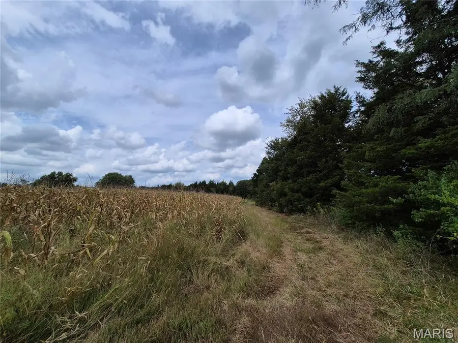 0 Russell Rd. (tract 4 - 15+/- Acres), Troy, MO 63379 - #3
