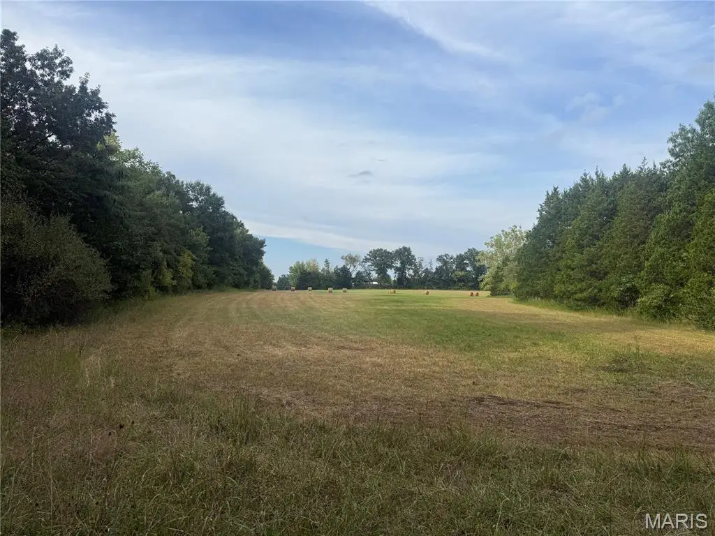 32 acres Pinckney Street, Warrenton, MO 63383 - #1