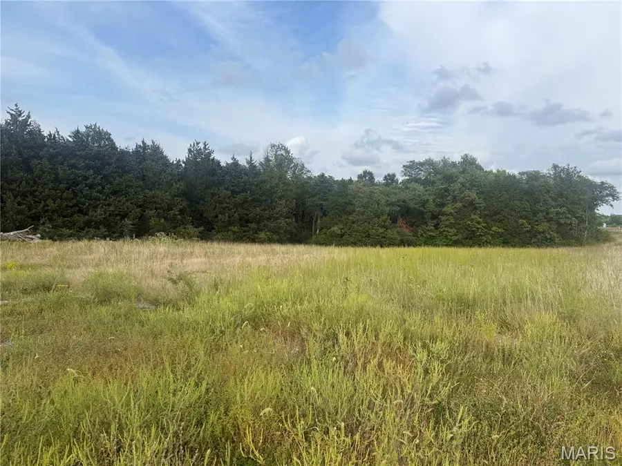 32 acres Pinckney Street, Warrenton, MO 63383 - #2