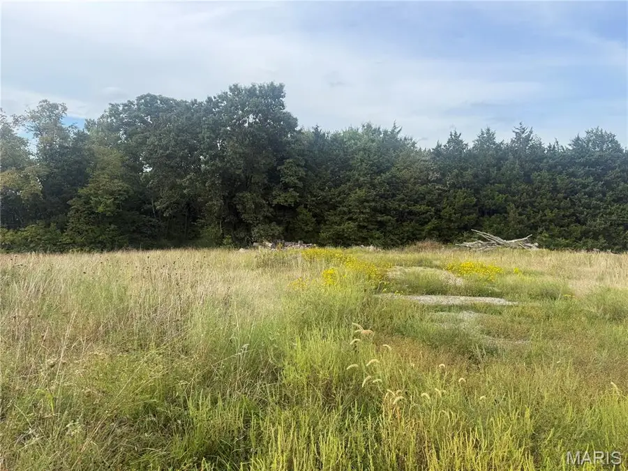 32 acres Pinckney Street, Warrenton, MO 63383 - #3